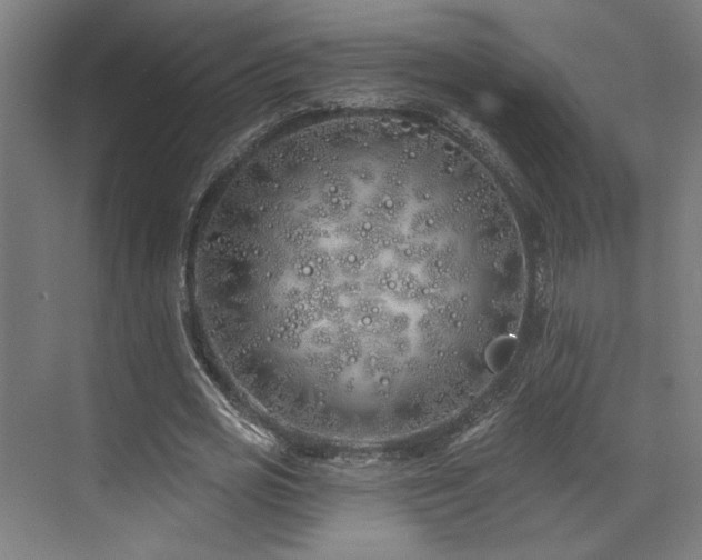 X0000073420725200607281151