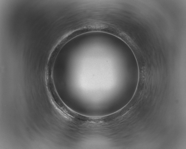 X0000073420726200607281151