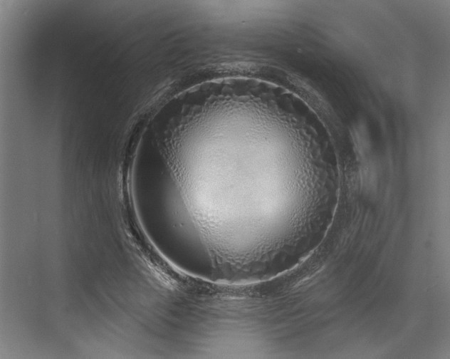 X0000073420729200607281152