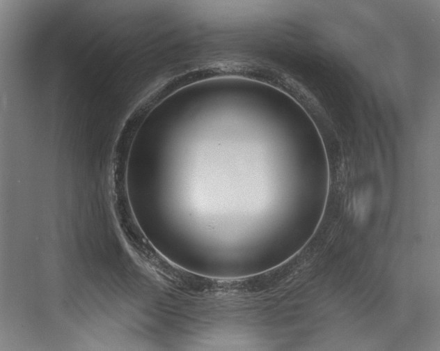 X0000073420730200607281152