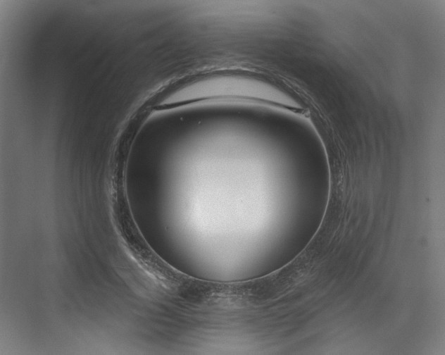 X0000073420732200607281152