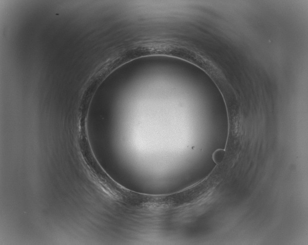 X0000073420733200607281152