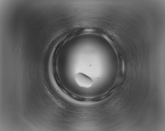 X0000073420735200607281152