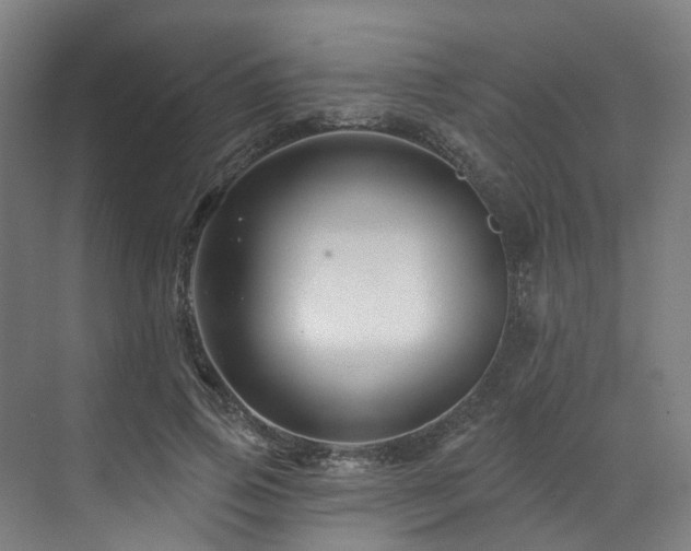 X0000073420741200607281152