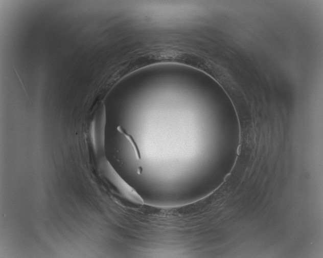 X0000073420743200607281152