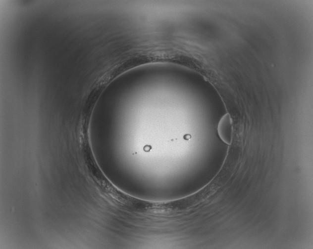 X0000073420746200607281152