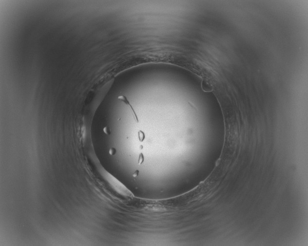 X0000073420749200607281152