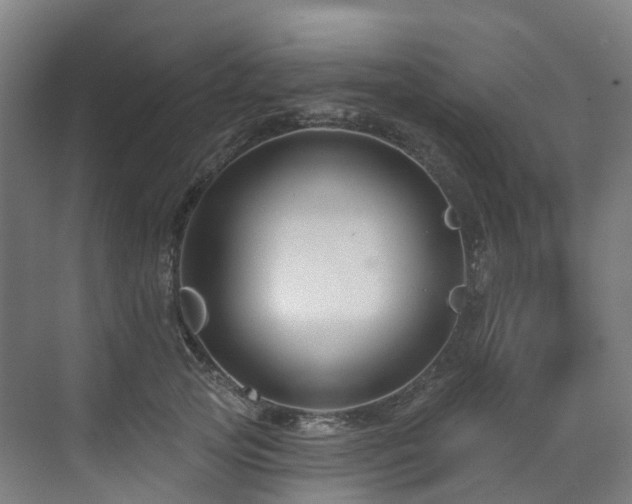 X0000073420753200607281152