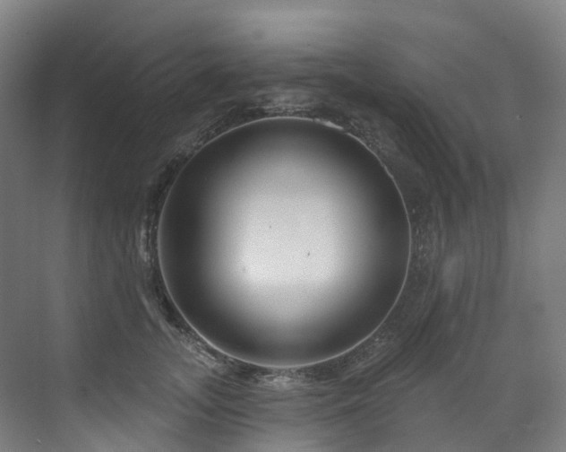 X0000073420755200607281152