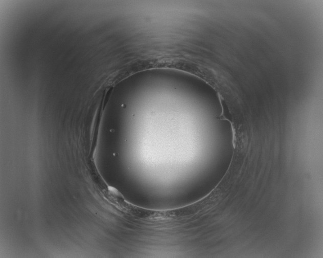 X0000073420756200607281152