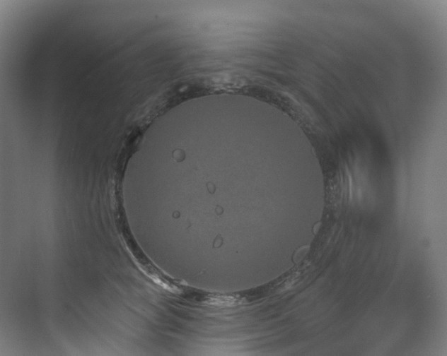 X0000073420757200607281152