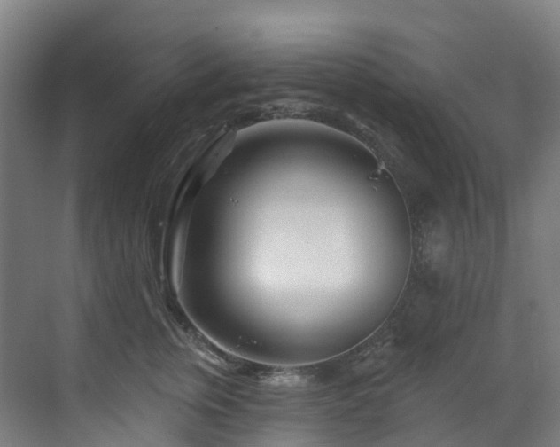 X0000073420759200607281152