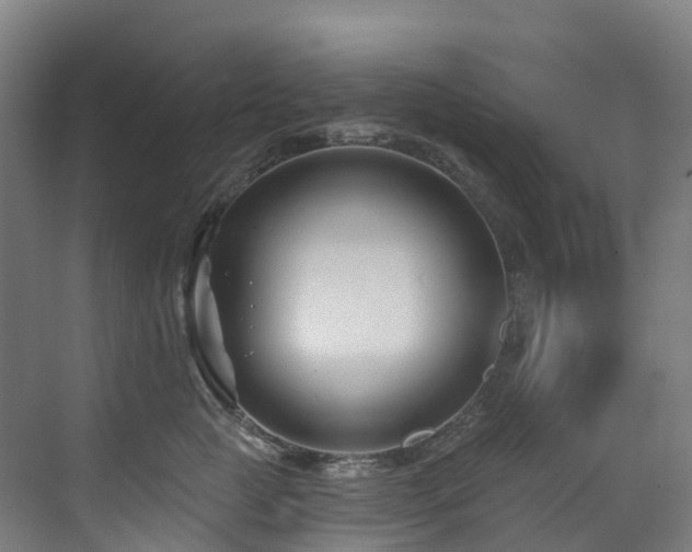 X0000073420761200607281152