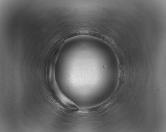 X0000073420762200607281152