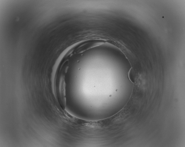 X0000073420763200607281152