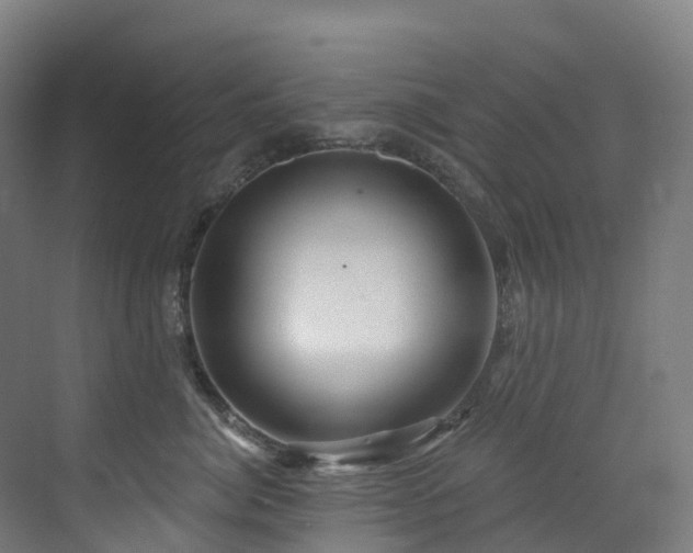 X0000073420764200607281152