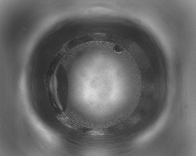 X0000073420765200607281152