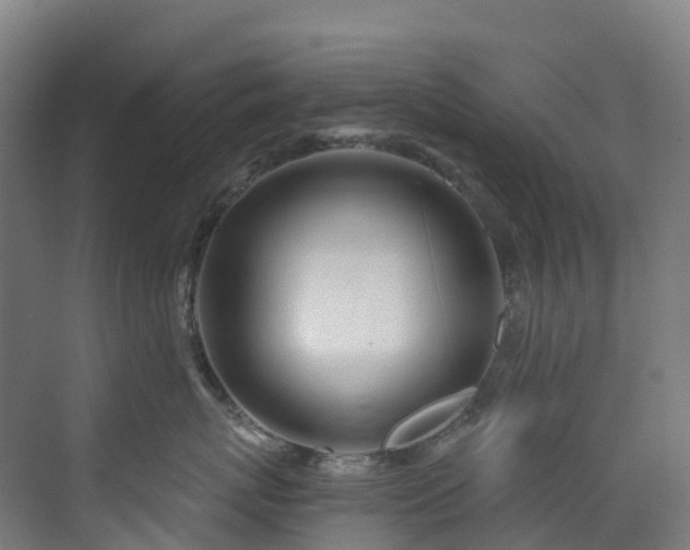 X0000073420767200607281152