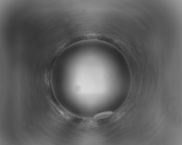 X0000073420768200607281152