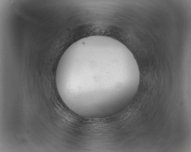 X0000073420769200607281151