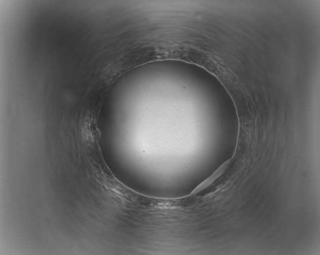 X0000073420770200607281151