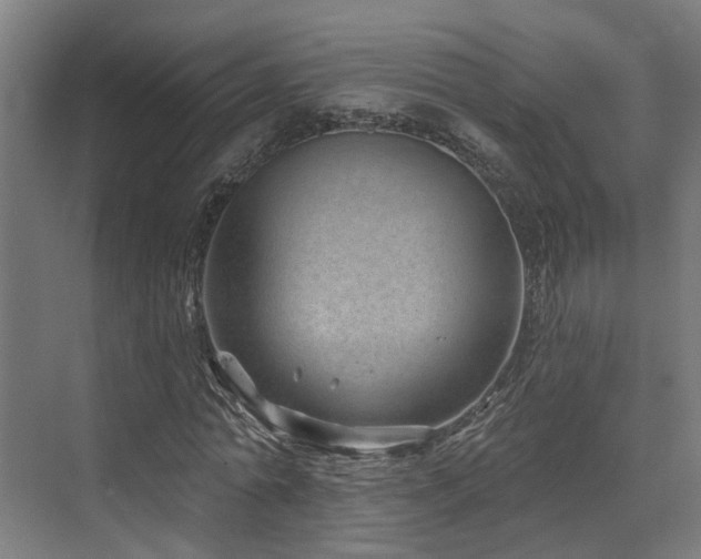 X0000073420774200607281151