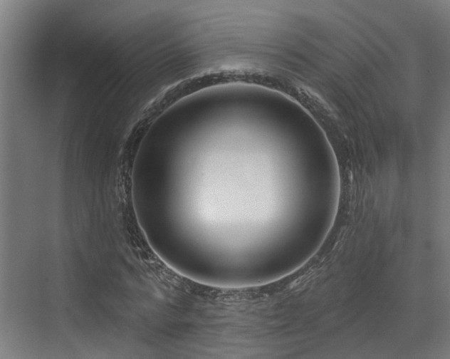 X0000073420776200607281151