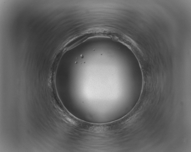 X0000073420778200607281151