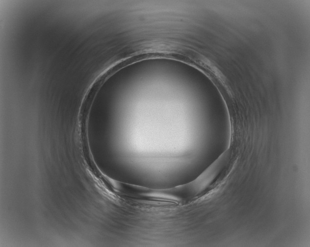 X0000073420779200607281151