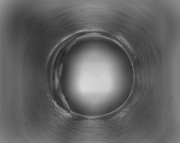 X0000073420781200607281151