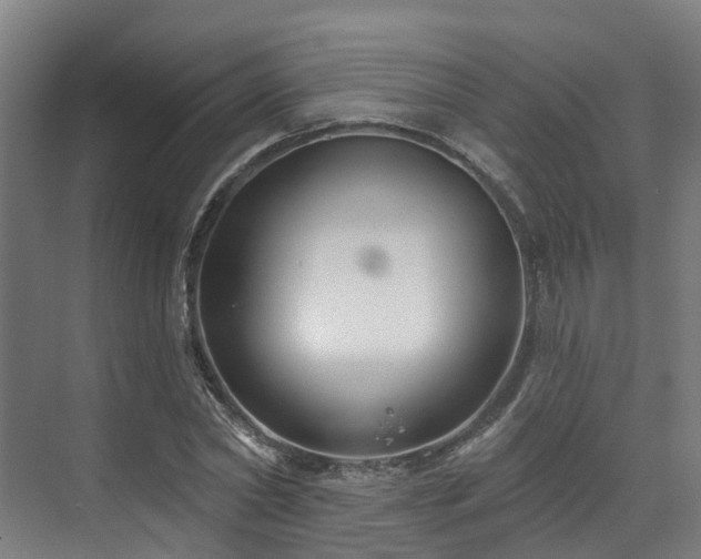 X0000073420782200607281151