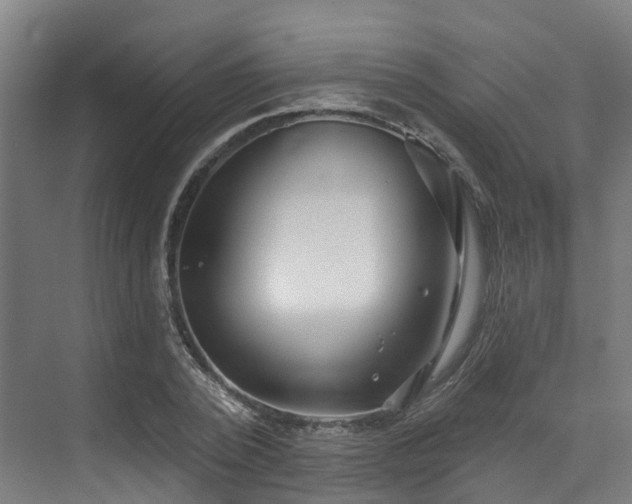 X0000073420784200607281151