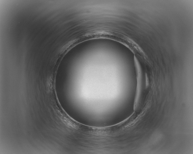 X0000073420785200607281151