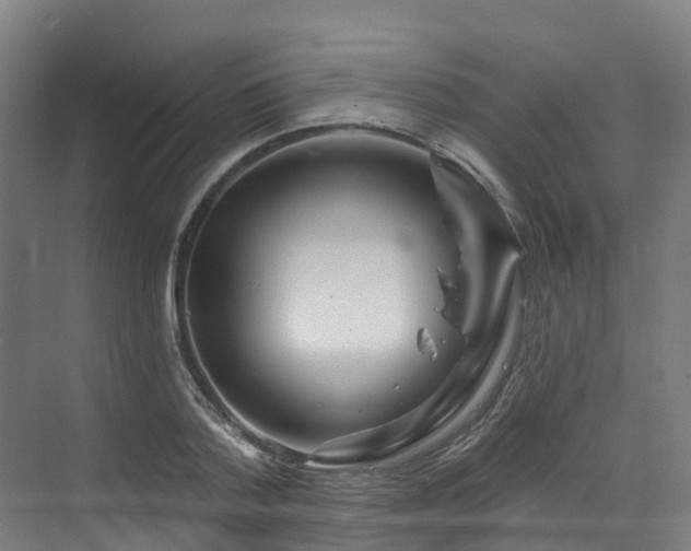 X0000073420788200607281151