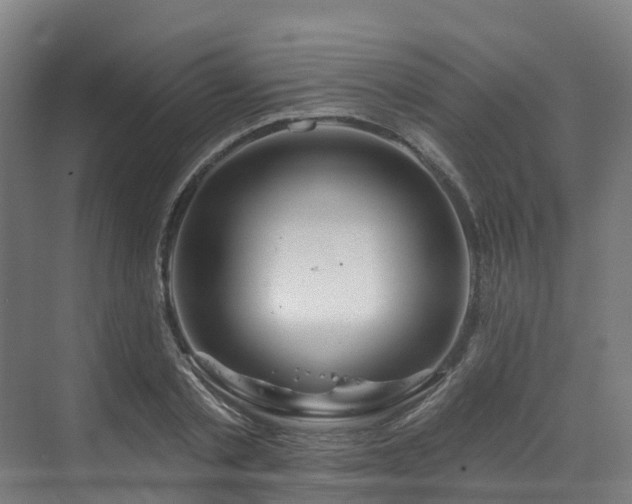 X0000073420789200607281151