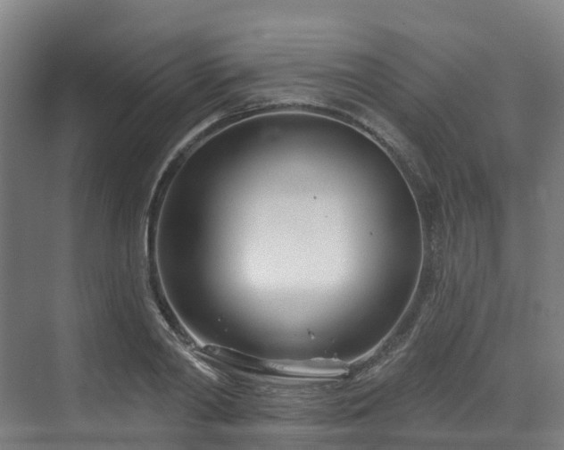 X0000073420790200607281151