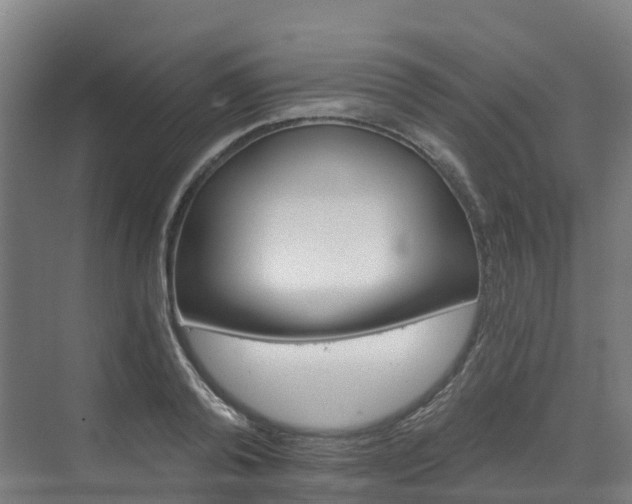 X0000073420792200607281151