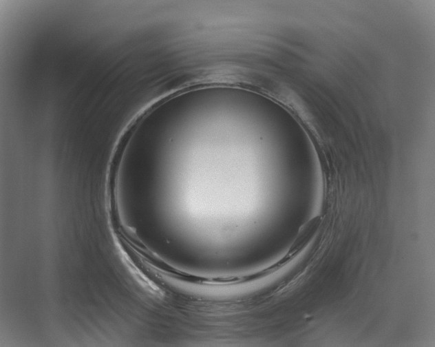 X0000073420795200607281151