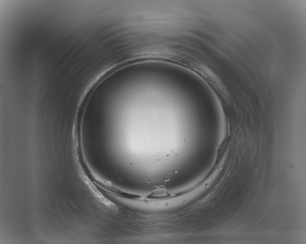 X0000073420796200607281151