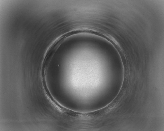 X0000073420799200607281151