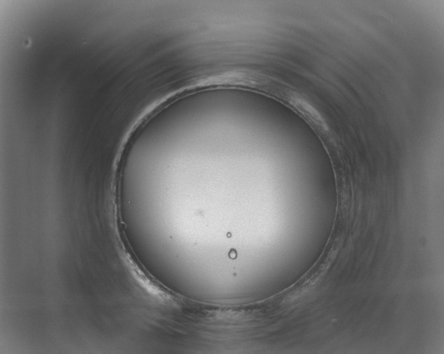 X0000073420800200607281151