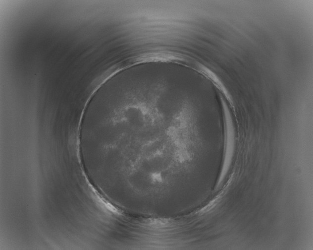 X0000073420802200607281151