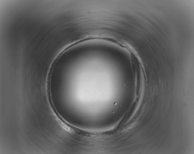 X0000073420803200607281151