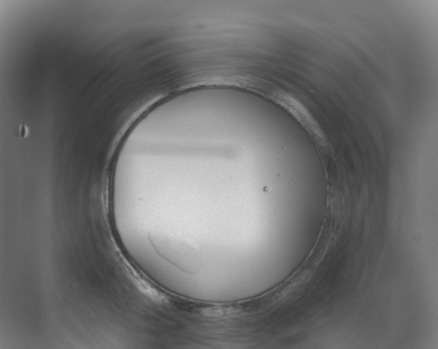 X0000073420804200607281151