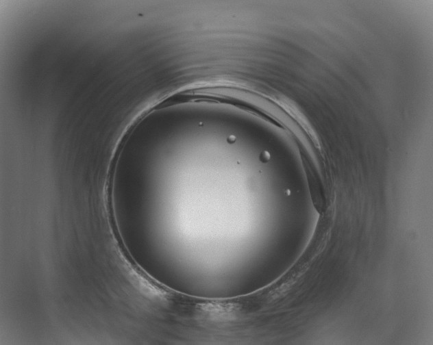 X0000073420805200607281151