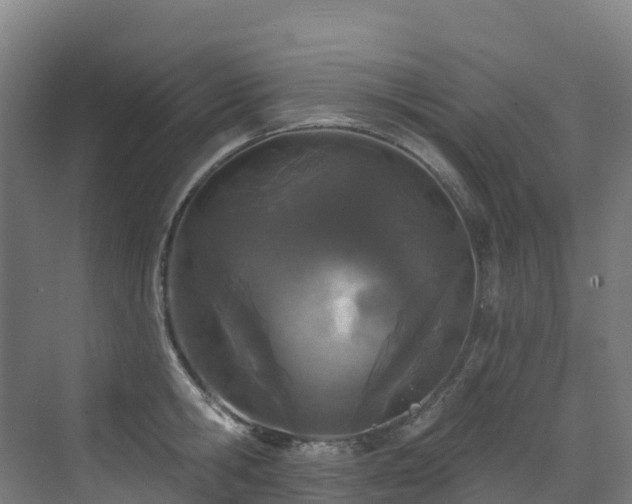 X0000073420806200607281151