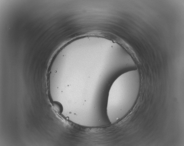 X0000073420808200607281151