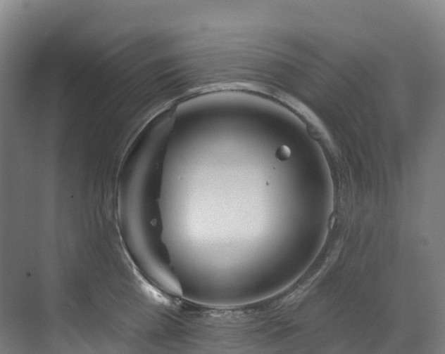 X0000073420809200607281151