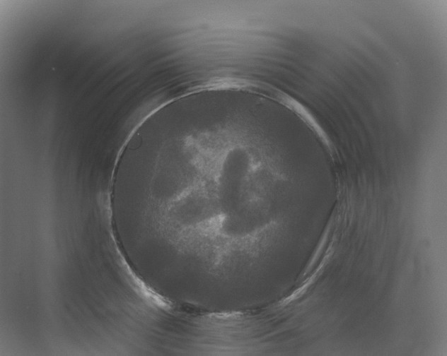 X0000073420810200607281151