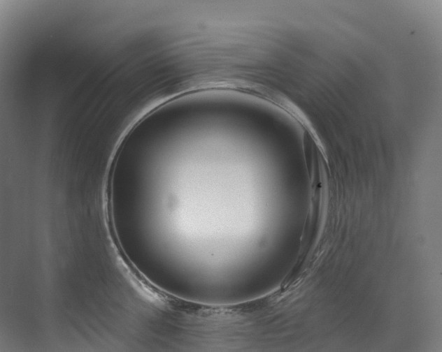 X0000073420811200607281151